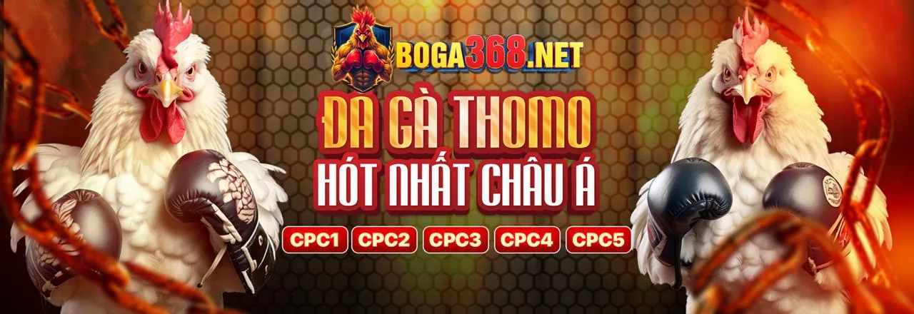 Đá Gà Trực Tiếp f789 khuyến mãi